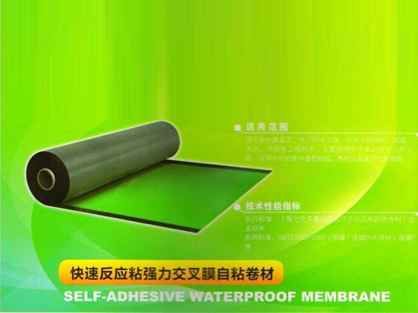 建材產(chǎn)品供應(yīng) > 【供銷】山東優(yōu)惠的sbs防水卷材&mdash;&mdash;濰坊耐根穿刺化學